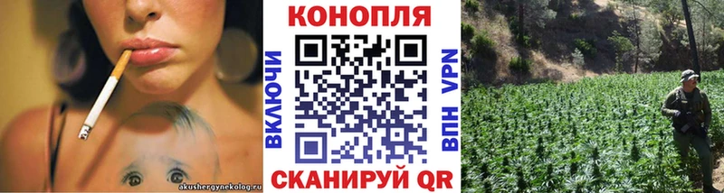 Канабис SATIVA & INDICA  blacksprut ссылка  Вязьма 